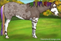 Horse Color:Painted Liver Chestnut Ice Splash Appaloosa 