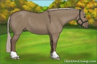 Horse Color:Silver Grullo