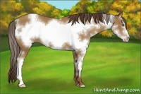Horse Color:White Spotted Classic Champagne Frame