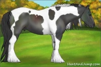 Horse Color:Smoky Black Tobiano 