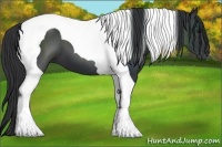 Horse Color:Black Tobiano 