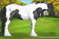 Horse Color:Black Tobiano 