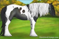 Horse Color:Black Tobiano 