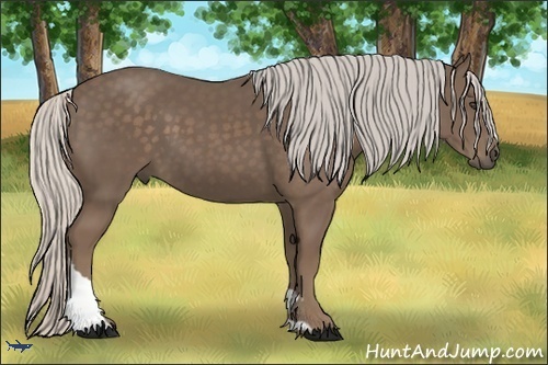 Horse Color:Silver Black Tobiano Rabicano 
