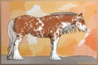 Horse Color:Silver Bay Sabino 