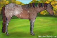 Horse Color:Painted Brown Ice Rabicano 