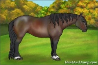 Horse Color:Brown 
