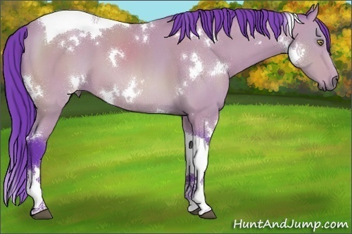 Horse Color:Watercolor White Spotted Bay Tobiano 