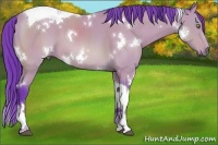 Horse Color:Watercolor White Spotted Bay Tobiano 