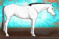Horse Color:White Spotted Liver Chestnut Near Fewspot