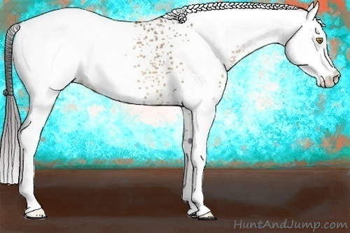 Horse Color:White Spotted Sable Champagne Appaloosa 