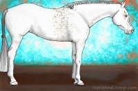 Horse Color:White Spotted Sable Champagne Appaloosa