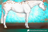 Horse Color:White Spotted Silver Amber Champagne Splash Frame Blanket 