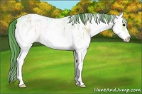 Horse Color:Watercolor White Spotted Blue Onyx Ice Roan Rabicano 