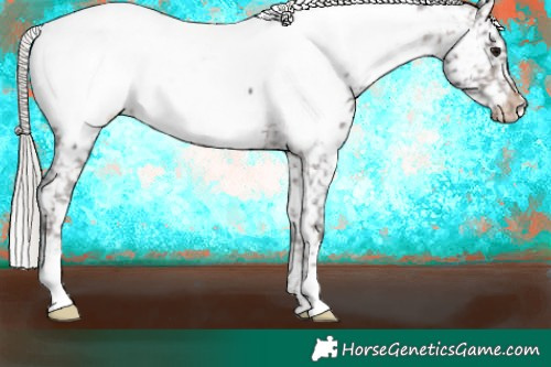 Horse Color:White Spotted Silver Brown Near Fewspot