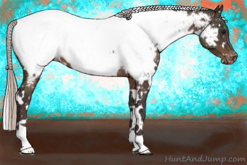 Horse Color:White Spotted Silver Brown Appaloosa 
