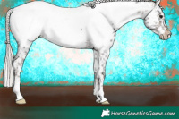 Horse Color:White Spotted Silver Brown Appaloosa 