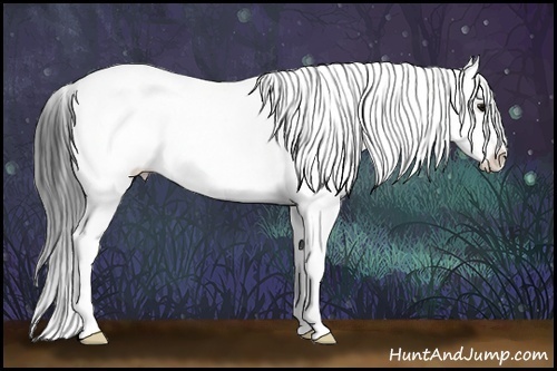 Horse Color:Smoky Black Sabino Rabicano 