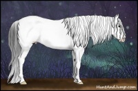 Horse Color:Smoky Black Sabino Rabicano 