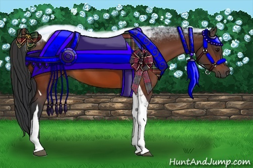 Horse Color:Bay Tobiano 