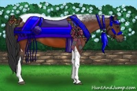 Horse Color:Bay Tobiano 