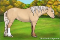 Horse Color:Silver Sable Cream Champagne Dun 