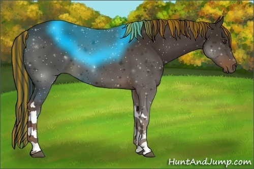 Horse Color:Painted Liver Chestnut 