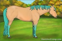 Horse Color:Watercolor Buckskin Dun 