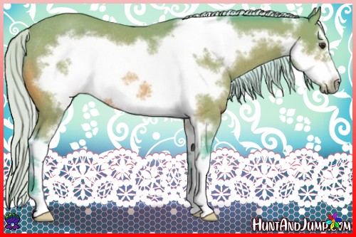Horse Color:Watercolor Silver Bay Sabino Frame Rabicano 