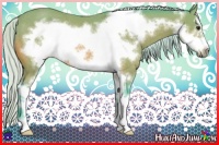 Horse Color:Watercolor Silver Bay Sabino Frame Rabicano