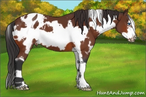Horse Color:White Spotted Bay Frame Blanket