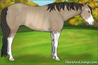 Horse Color:Sable Cream Champagne Sabino Rabicano