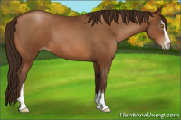 Horse Color:Gray Bay Pearl Sabino
