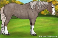 Horse Color:Silver Blue Roan Splash