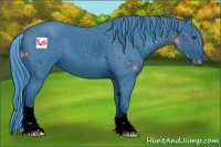 Horse Color:ERROR: UNKNOWN ANOMALY