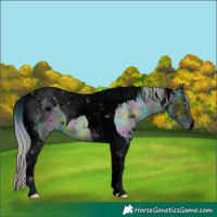 Horse Color:ERROR: UNKNOWN ANOMALY