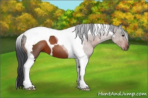Horse Color:Brown Tobiano