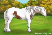 Horse Color:White Spotted Silver Brown Tobiano