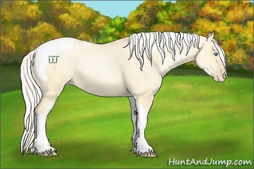 Horse Color:Silver Buckskin Pearl Dun Tobiano 