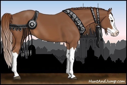 Horse Color:Chestnut Splash 