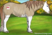 Horse Color:Liver Red Dun Sabino Splash Rabicano 