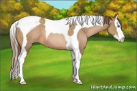 Horse Color:Brown Pearl Sabino Splash Tobiano 