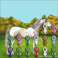 Horse Color:Grullo Pearl Splash Tobiano 