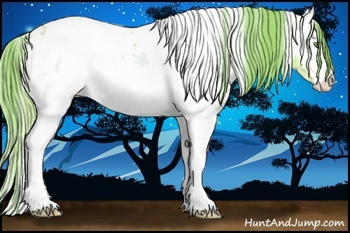 Horse Color:Watercolor White Spotted Gold Champagne Onyx Blanket Rabicano