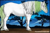 Horse Color:Watercolor White Spotted Gold Champagne Onyx Appaloosa Rabicano