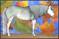 Horse Color:Silver Blue Onyx Chinchilla Ice Splash Rabicano 