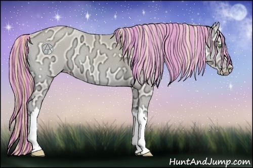 Horse Color:Painted Perlino Ice Onyx 