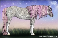 Horse Color:Painted Perlino Ice Onyx 