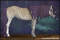 Horse Color:Painted Buckskin Ice Onyx 