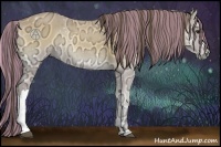 Horse Color:Painted Buckskin Ice Onyx 